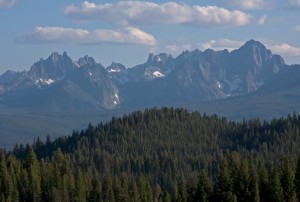 Sawtooth Mts from trail